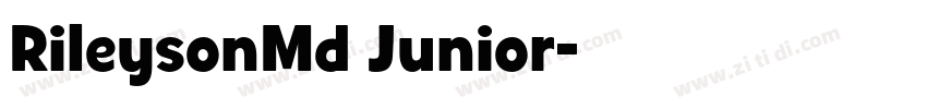 RileysonMd Junior字体转换